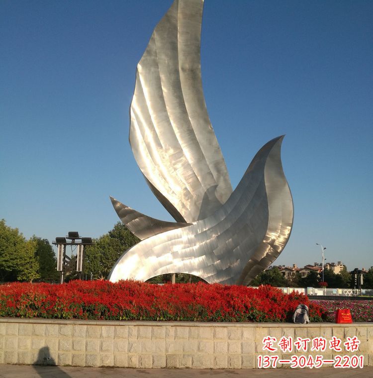 海南“鸽子之恋”——让爱飞翔