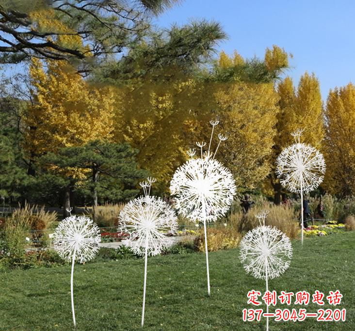 海南不锈钢蒲公英景观雕塑艺术与美的完美结合