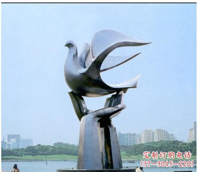 海南静谧之鸽,传递和平象征~