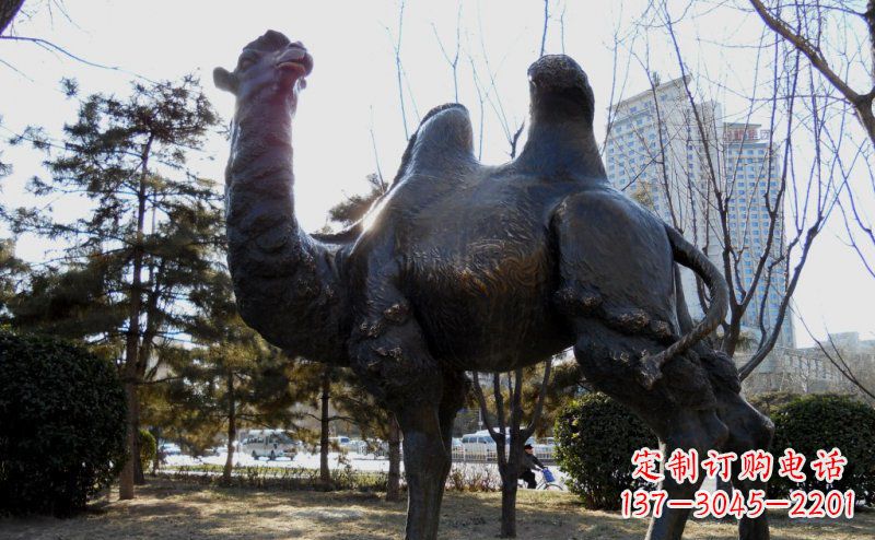 海南优美雕刻骆驼铜雕塑