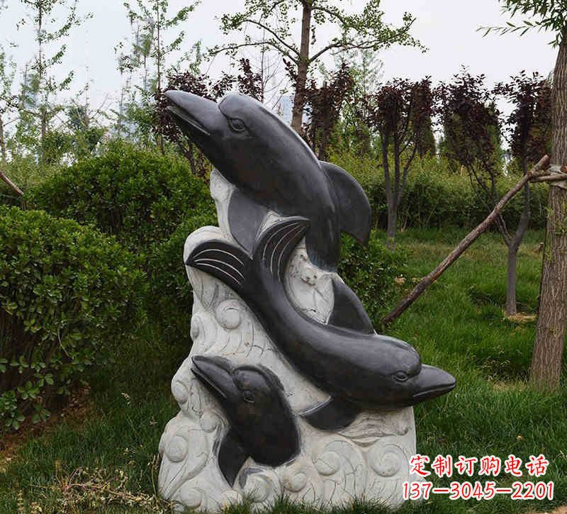 海南海豚石浮雕