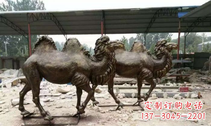 海南典雅优美的骆驼铜雕