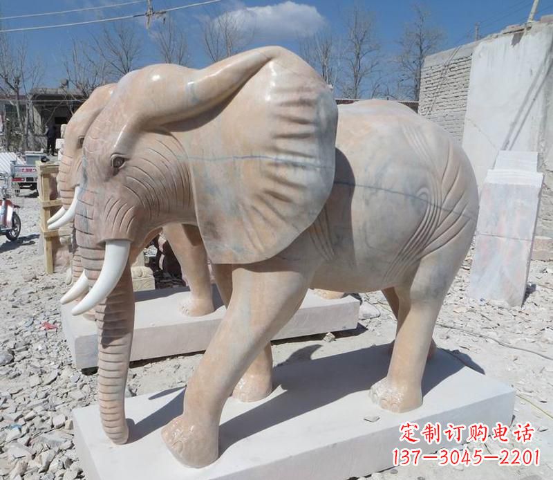 海南晚霞红卷鼻大象